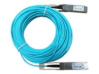 HPE Active Optical Cable - Nätverkskabel - QSFP28 till QSFP28 - 20 m - fiberoptisk - aktiv - för FlexFabric 12900, 12900E 36, 12902, 5930, 5930 2QSFP+, 5930 2-slot, 5930 32, 5930 4-slot JL278A