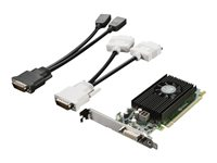 NVIDIA NVS 315 - Grafikkort - NVS 315 - 1 GB DDR3 - PCIe 2.0 x16 låg profil - DMS-59 - för ThinkCentre M73; ThinkStation E32; P300; P320; P410; P500; P510; P700; P710; P900; P910 4X60F17422