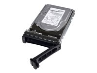 Dell - Kundsats - hårddisk - 12 TB - hot-swap - 3.5" - SATA 6Gb/s - 7200 rpm - för PowerEdge C6420 (3.5") 401-ABHY