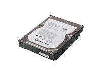 Hitachi - Hårddisk - 2 TB - inbyggd - 3.5" - SATA 3Gb/s - 7200 rpm - för px6-300d Acronis Backup; px6-300d Network Storage Pro Series 4N40A33708