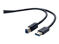 Belkin - USB-kabel - USB Type B (hane) till USB typ A (hane) - USB 3.0 - 1.8 m - formpressad F3U159CP1.8M-P