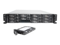 NETGEAR ReadyNAS 4220 RN422X64E - NAS-server - 12 fack - 24 TB - kan monteras i rack - SATA 3Gb/s - HDD 4 TB x 6 - RAID RAID 0, 1, 5, 6, 10, JBOD, 5 hot spare - RAM 8 GB - Gigabit Ethernet / 10 Gigabit Ethernet - iSCSI support - 2U RN422X64E-100NES