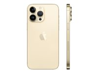Apple iPhone 14 Pro Max - 5G smartphone - dual-SIM / Internal Memory 128 GB - OLED-skärm - 6.7" - 2796 x 1290 pixels (120 Hz) - 3 st. bakre kameror 48 MP, 12 MP, 12 MP - front camera 12 MP - guld MQ9R3QN/A