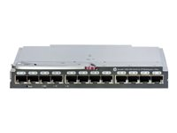 Brocade 16Gb/16 SAN Switch for HP BladeSystem c-Class - Switch - Administrerad - 16 x 16Gb Fibre Channel - insticksmodul C8S45A