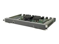 HPE Type A Fabric Module - Kontrollprocessor - insticksmodul - för HPE 10508 Switch Chassis, 10508-V Switch Chassis JC616A