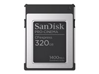 SanDisk PRO-CINEMA - Flash-minneskort - 320 GB - CFexpress, typ B SDCFEC-320G-GN4NN