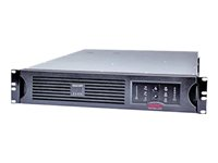 APC Smart-UPS RM 3000VA USB & Serial - UPS (kan monteras i rack) - AC 230 V - 2.7 kW - 3000 VA - RS-232, USB - utgångskontakter: 9 - 2U - svart - för P/N: AR3003, AR3003SP, AR3006, AR3006SP, AR3103, AR3103SP, AR3106, AR3106SP, AR3357X674 SUA3000RMI2U