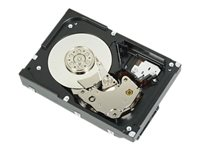 Dell - Kundsats - hårddisk - 12 TB - inbyggd - 3.5" - SATA 6Gb/s - 7200 rpm - för PowerEdge T330 (3.5"), T430 (3.5") 400-AUTM