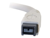 C2G - IEEE 1394-kabel - FireWire 800 (hane) till FireWire 800 (hane) - 2 m - formpressad 81618