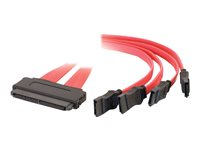C2G Internal SAS 32-pin (SFF-8484) to Four Serial ATA (SATA) Cable - SATA/SAS-kabel - Serial ATA 150/300/600/ SAS 6Gbit/s - 4-vägs - 32-pin 4i MultiLane (hona) till SATA (hona) - 1 m - röd 81811