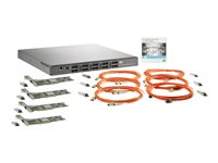 HPE 8Gb Simple SAN Connection Kit - Switch - Administrerad - 8 x 8 GB fiberkanal SFP+ - rackmonterbar AK241B