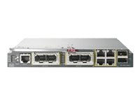 Cisco Catalyst 3120G Blade Switch - Switch - Administrerad - 16 x 10/100/1000 + 4 x SFP + 4 x 10/100/1000 - insticksmodul - för BLc3000 Enclosure; BLc3000 Single-Phase Enclosure; BLc7000 Enclosure 451438-B21