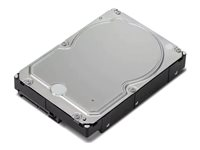 Lenovo - Hårddisk - 6 TB - inbyggd - 3.5" - SATA 6Gb/s - 7200 rpm - för ThinkStation P330 Gen 2; P340; P350; P520; P720; P920 4XB0X87802