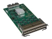 Brocade - Expansionsmodul - Gigabit SFP x 24 - för FastIron SuperX 1600, 800, SX800-DC; FastIron SX 1600, 800 SX-FI-24HF