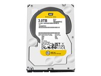 K/HDD SE 3TB 3.5 SATA & WD Care Extended WD3000F9YZ?CAREEXT