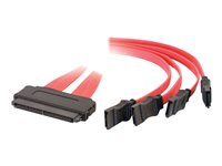 C2G Internal SAS 32-pin (SFF-8484) to Four Serial ATA (SATA) Cable - SATA/SAS-kabel - Serial ATA 150/300/600/ SAS 6Gbit/s - 4-vägs - 32-pin 4i MultiLane (hona) till SATA (hona) - 50 cm - röd 81810