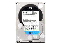 K/HDD SE 4TB 3.5 SATA & WD Care Extended WD4000F9YZ?CAREEXT