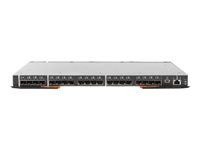 Lenovo Flex System FC5022 16Gb SAN Scalable Switch - Switch - Administrerad - 20 x 16Gb Fibre Channel SFP+ + 28 x 16Gb Fibre Channel + 2 x 10/100/1000 + 1 x 10/100 - insticksmodul 88Y6374