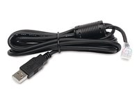 APC - USB-kabel - USB (hane) till RJ-45 (10 pin) (hane) - 1.8 m - svart - för Back-UPS LS 500 AP9827