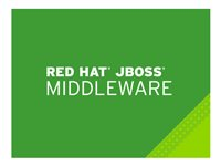 JBoss Data Grid - Standardabonnemang (3 år) - 16 kärnor MCT3140F3