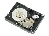 Dell - Hårddisk - 900 GB - inbyggd - 2.5" - SAS - 10000 rpm - för Precision R5500, T3600, T5600 400-23154
