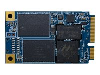 SanDisk X110 - SSD - 64 GB - inbyggd - mSATA - SATA 6Gb/s SD6SF1M-064G-1022