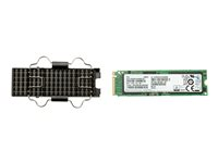 HP Z Turbo Drive Kit - SSD - krypterat - 1 TB - inbyggd - Self-Encrypting Drive (SED) - för Workstation Z4 G4, Z6 G4 6YT76AA