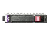 HPE Midline - Hårddisk - 6 TB - 3.5" LFF - SATA 6Gb/s - 7200 rpm - med HP SmartDrive-bärvåg 753874-B21