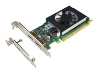 NVIDIA GeForce GT730 - Grafikkort - GF GT 730 - 2 GB GDDR5 - PCIe 2.0 x8 låg profil - DisplayPort - för ThinkCentre M710; M715; M720; M75t Gen 2; M910; M920; V530-15 4X60M97031