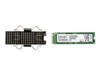 HP Z Turbo Drive G2 - SSD - 1 TB - inbyggd - M.2 - PCIe 3.0 x4 (NVMe) - för Workstation Z4 G4, Z6 G4 1PD61AA