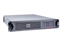 APC Smart-UPS - UPS (kan monteras i rack) - AC 230 V - 2.7 kW - 3000 VA - RS-232, USB - 2U - svart - för P/N: AR2487G, AR3103SP, AR3106SP, NBWL0356A, SMX2000LVUS, SRT1000RMXLA, SRT1500RMXLA-NC SUA3000R2IX38