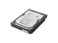 Lenovo NAS Drive Multi-Pack - Hårddisk - 2 TB - inbyggd - 3.5" - SATA 3Gb/s - 7200 rpm (paket om 4) - för px12-400r Acronis Backup 70BN; px12-400r Network Storage Array 70BN, 70C8 4N40A33714