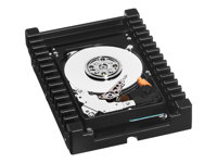 WD VelociRaptor WD2500HHTZ - Hårddisk - 250 GB - inbyggd - 3.5" - SATA 6Gb/s - 10000 rpm - buffert: 64 MB WD2500HHTZ