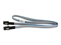 HPE Fanout Cable - Extern SAS-kabel - 4-vägs - 36 pin 4x Mini SAS HD (SFF-8644) (hane) till 36 pin 4x Mini SAS HD (SFF-8644) (hane) - 2 m - för StorageWorks MSL2024; StoreEver MSL3040, MSL6480 P35176-B21