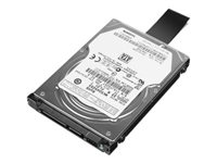 Lenovo - Hårddisk - krypterat - 320 GB - inbyggd - 2.5" - SATA 3Gb/s - 7200 rpm 0A65636