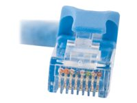 C2G Cat6 Booted Unshielded (UTP) Network Patch Cable - Patch-kabel - RJ-45 (hane) till RJ-45 (hane) - 50 m - UTP - CAT 6 - formpressad, hakfri, tvinnad - blå 83396