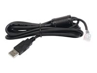 APC - USB-kabel - USB (hane) till RJ-45 (10 pin) (hane) - 1.8 m - svart - för Back-UPS LS 500 AP9827