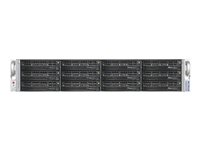 NETGEAR ReadyNAS 4200 RN12S0620 - NAS-server - 12 fack - 12 TB - kan monteras i rack - SATA 3Gb/s - HDD 2 TB x 6 - RAID 0, 1, 5, 6 - RAM 8 GB - 10 Gigabit Ethernet - 2U RN12S0620-100EUS