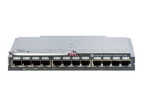 Brocade 16Gb/28 SAN Switch for HP BladeSystem c-Class - Switch - Administrerad - 16 x 16 Gb fiberkanal (intern) + 12 x 8Gb Fibre Channel SFP+ - insticksmodul C8S46B