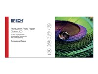 Epson Production - Polyetylen (PE) - blank - mikroporös - 200 mikrometer - Rulle (91,4 cm x 30 m) - 200 g/m² - 1 rulle (rullar) fotopapper - för Stylus Pro 9890; SureColor P10000, P20000, SC-P10000, P20000, P8000, P9000, P9500, T7200 C13S450372