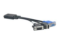 Lenovo - Tangentbords-/video-/muskabel - USB, DB-9, HD-15 (VGA) - för NeXtScale nx360 M4 5455 00Y8366