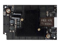 Fusion-io ioDrive2 - SSD - 365 GB - inbyggd - PCIe 2.0 x4 - för MXA UCS C220 M3; UCS C22 M3, C220 M3, C24 M3, C240 M3, C420 M3, C460 M2 UCSC-EZ7-FIO-365M