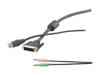 Belkin OmniView - Video/USB-/ljudkabelsats - USB, stereo mini jack, DVI-I (hane) till stereo mini jack, USB typ B, DVI-I (hane) - 1.83 m - tumskruvar - grå - för P/N: F1DN102D, F1DN102DEA, F1DN104D, F1DN104DEA F1D9201-06