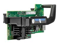 HPE 560FLB - Nätverksadapter - PCIe 2.0 x8 - 10GbE - 2 portar - för ProLiant BL460c Gen10, BL460c Gen8 655639-B21