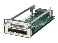 Cisco - Expansionsmodul - 1GbE - 4 portar - för Catalyst 3560X-24, 3560X-48, 3750X-12, 3750X-24, 3750X-48 C3KX-NM-1G=