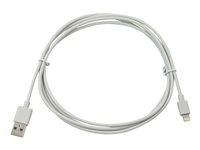 Compulocks Apple Lightning Charging Cable 6 Feet Long - USB-kabel - USB (hane) till Lightning (hane) - 1.83 m - för Compulocks iPad 10.2-inch; Maclocks Rise Freedom Enclosed Rolling Kiosk 6FT10PIPDC