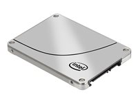 Intel Solid-State Drive DC S3700 Series - SSD - 100 GB - inbyggd - 2.5" - SATA 6Gb/s SSDSC2BA100G301