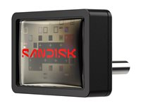 SanDisk Extreme Fit - USB flash-enhet - 256 GB - USB-C 3.2 Gen 1 SDCZ530-256G-G46