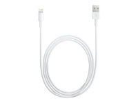 Apple - Lightning-kabel - Lightning hane till USB hane - 1 m MD818ZM/A