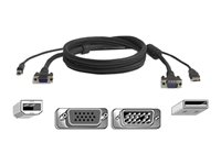 Belkin OmniView All-In-One Pro Series Plus - Video/USB-kabel - HD-15 (VGA), USB typ B till USB, HD-15 (VGA) (hane) - 1.8 m - formpressad - för P/N: F1DN102U, F1DN104U, F1DN108U F3X1962B06